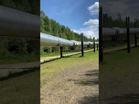 The Alaskan Oil Pipeline spans over 800 miles through rugged terrain! #USA #Gas #Oil #Pipeline