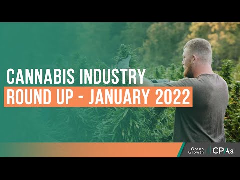 Cannabis Industry Round Up