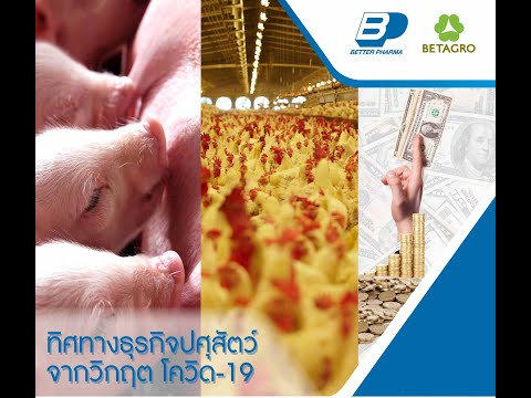 Seminar Ep.1 # Part 1. ผ่าวิกฤตเศรษฐกิจ การเงิน ช่วงโควิด-19