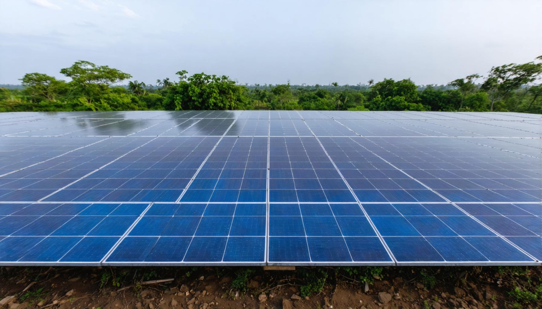 The Bold Leap Toward Green Energy: Tata Power’s Transformative $5.6 Billion Investment in Andhra Pradesh