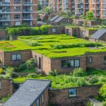 El audaz impulso de Gran Bretaña de 2.33 mil millones de dólares para transformar la vivienda social: ¡un futuro más verde nos espera!