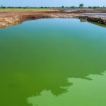 The Unseen Wealth Beneath Africa’s Aging Oil Fields: Revitalization or Revolution?