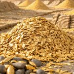 Japan-India Partnership Transforms Agricultural Waste into Clean Energy Gold